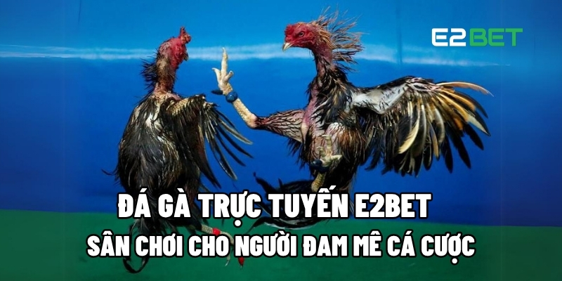 Đá gà trực tuyến