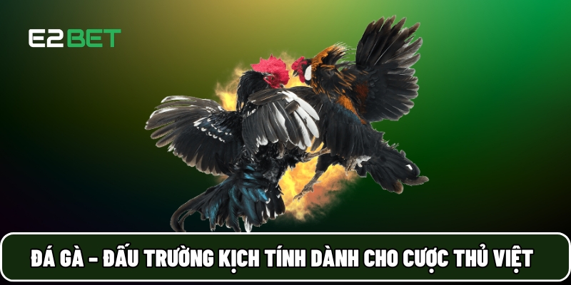 E2BET 20 Đá gà – Đấu trường kịch tính dành cho cược thủ Việt