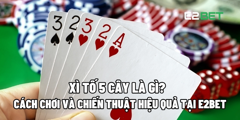 Xì tố 5 cây là gì?